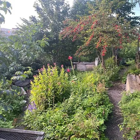 I Bydel Gruenerlokka Oslo